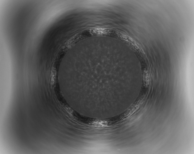 X0000093400760200710260917