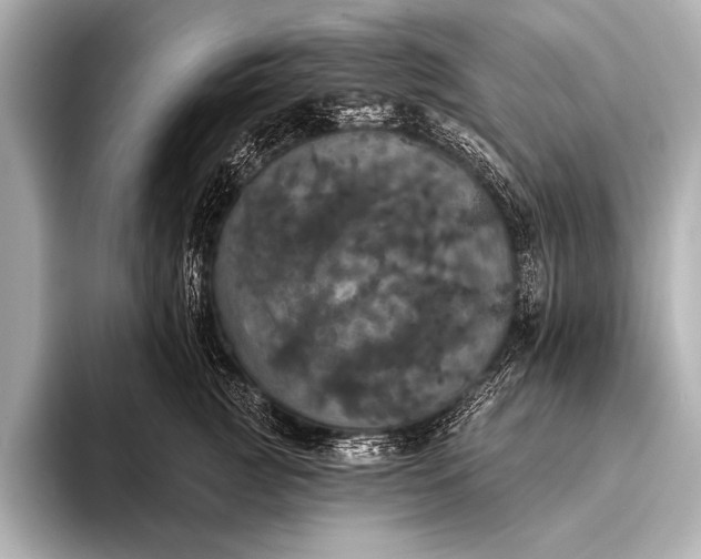 X0000093400761200710260917