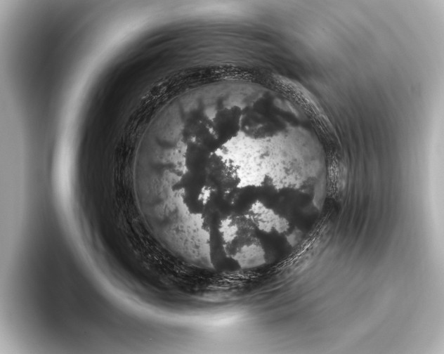 X0000093400765200710260917