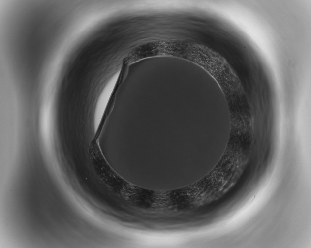 X0000093400766200710260917