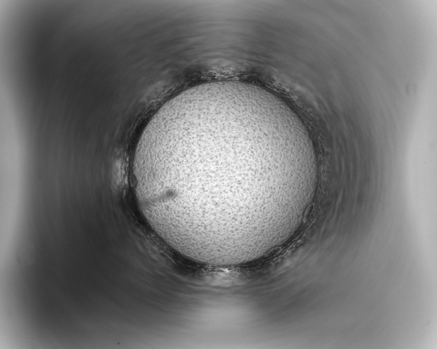 X0000093400768200710260917