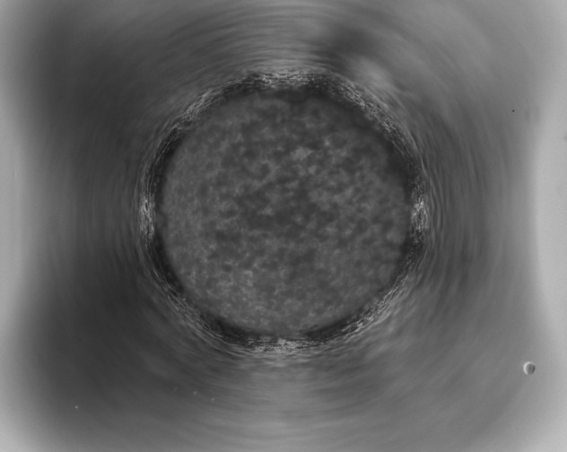 X0000093400772200710260916