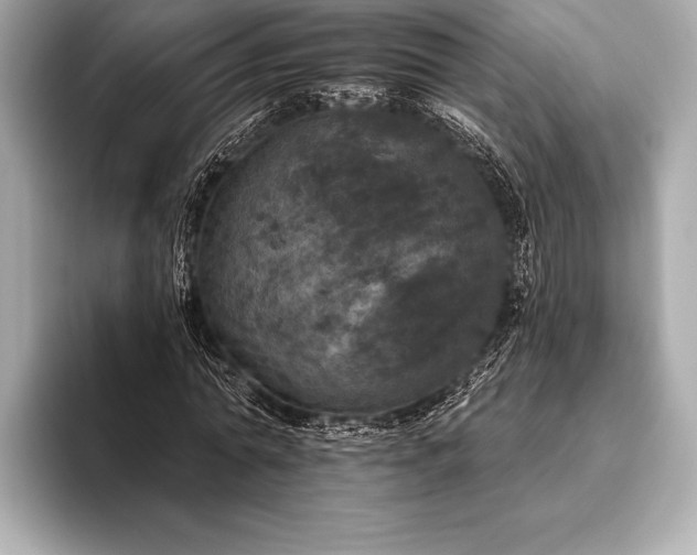 X0000093400774200710260916