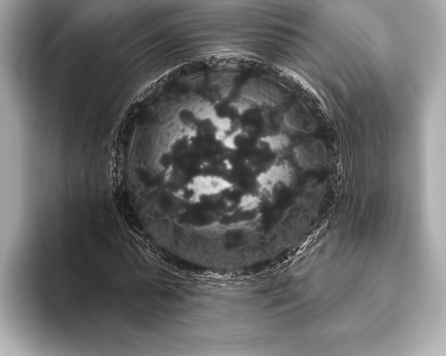 X0000093400775200710260916