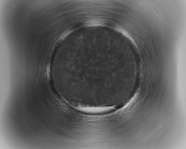 X0000093400777200710260916