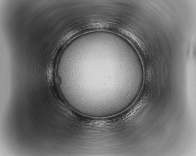 X0000093400778200710260916