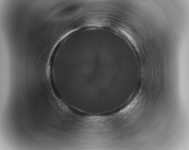 X0000093400779200710260916