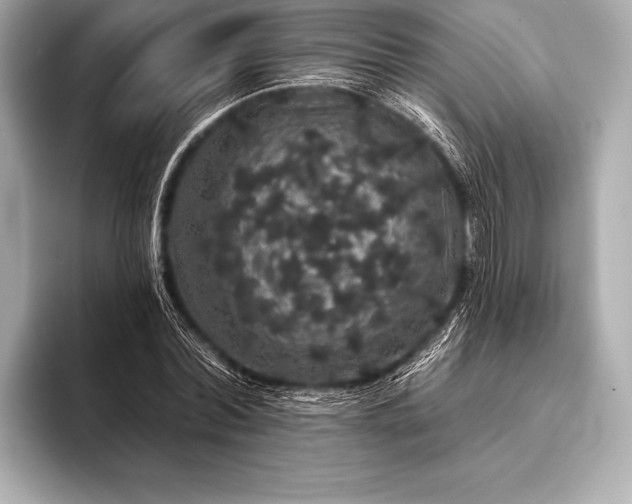 X0000093400780200710260916