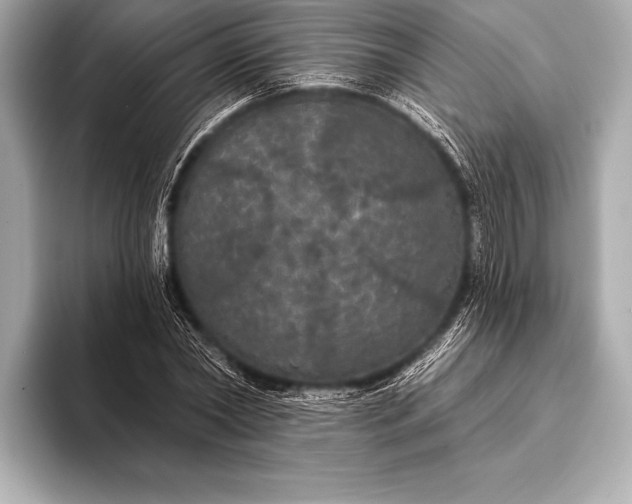 X0000093400782200710260916