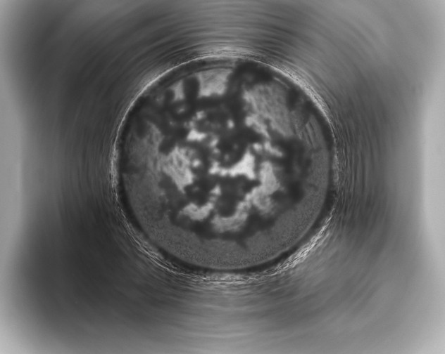 X0000093400783200710260916