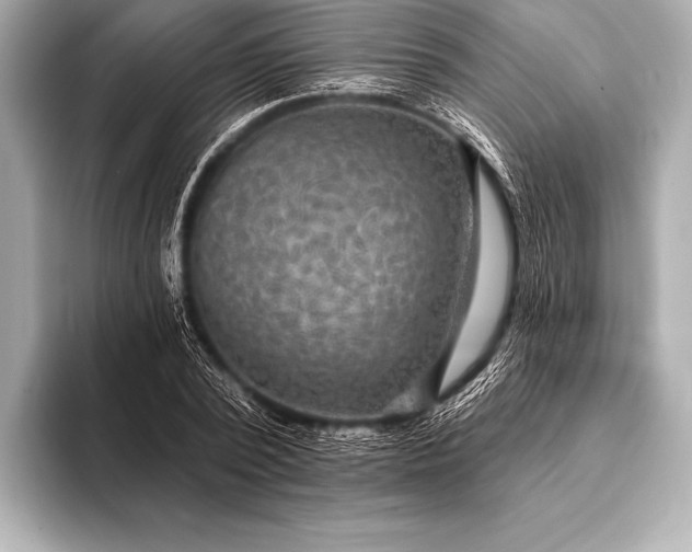 X0000093400784200710260916