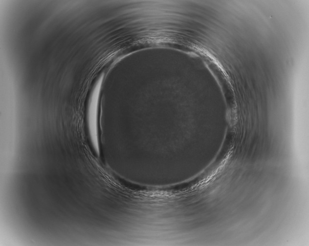 X0000093400785200710260916