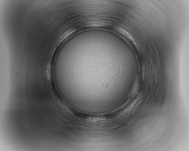 X0000093400786200710260916