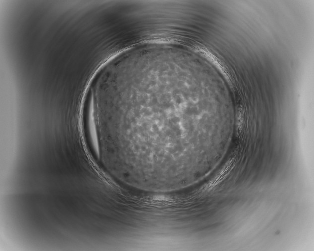 X0000093400787200710260916