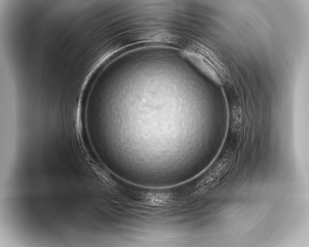 X0000093400788200710260916