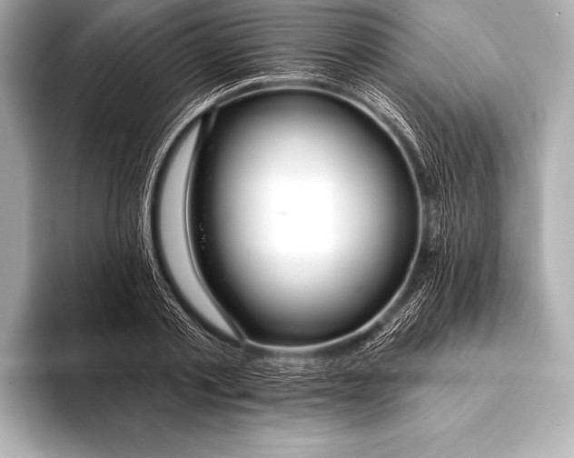 X0000093400789200710260916