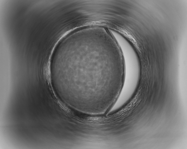 X0000093400792200710260916