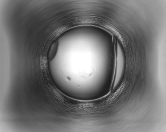 X0000093400793200710260916