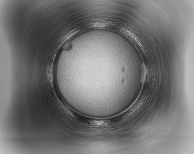 X0000093400794200710260916