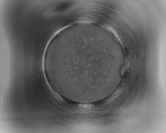 X0000093400795200710260916