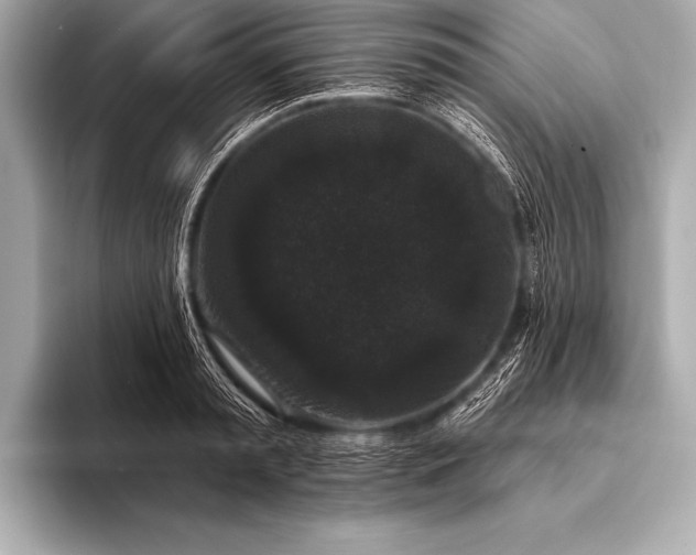 X0000093400797200710260916