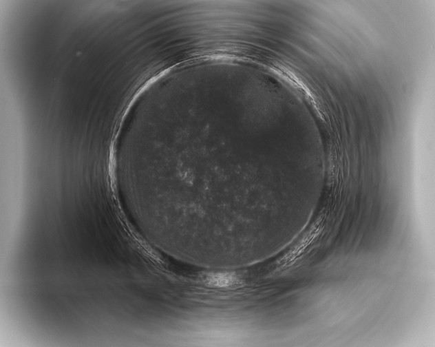 X0000093400798200710260916