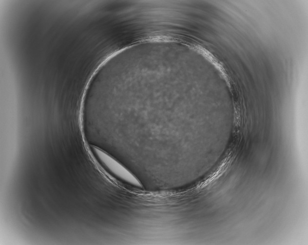 X0000093400803200710260916