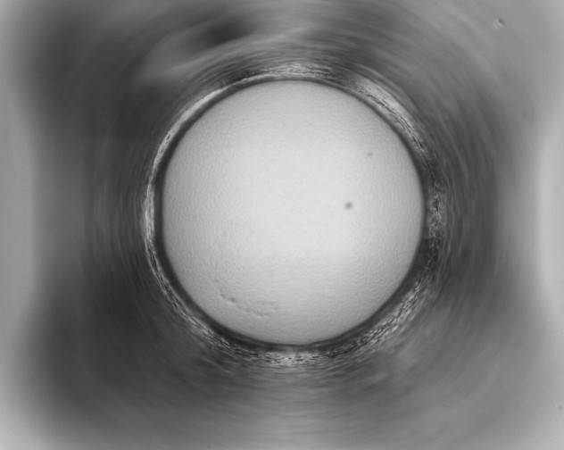 X0000093400804200710260916