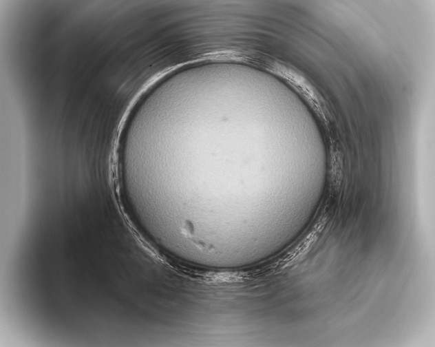 X0000093400808200710260916