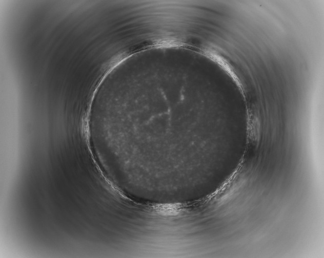 X0000093400810200710260916