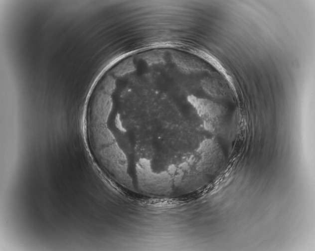 X0000093400811200710260916