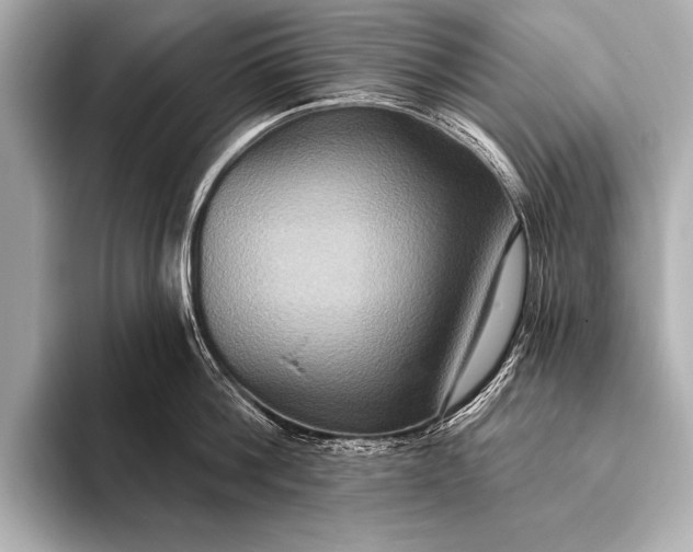 X0000093400812200710260916