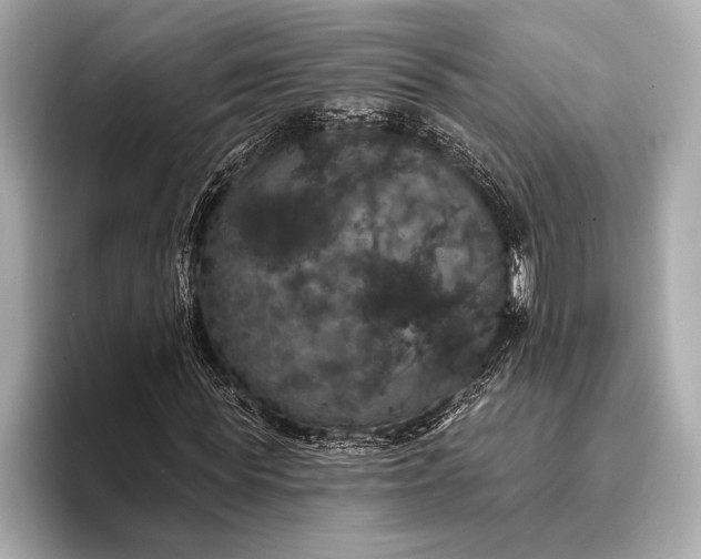 X0000093400819200710260915