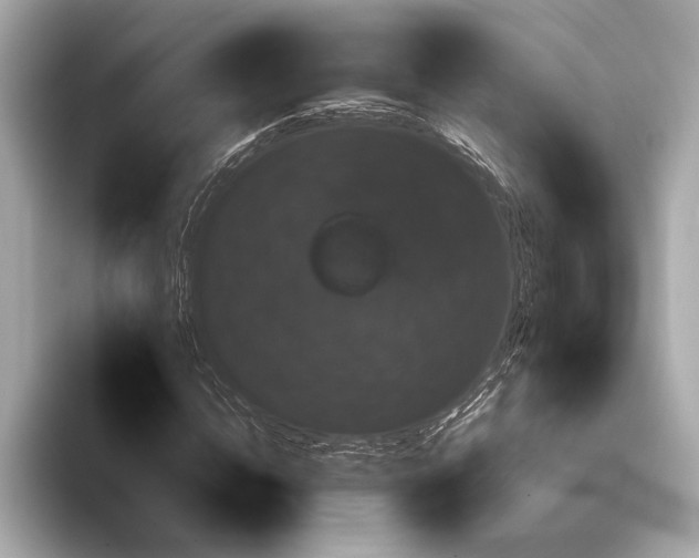 X0000093400822200710260915