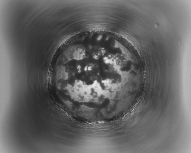 X0000093400823200710260915