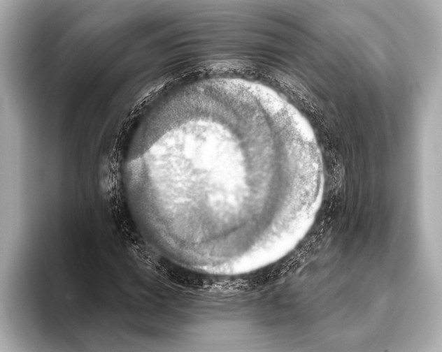 X0000093400824200710260915