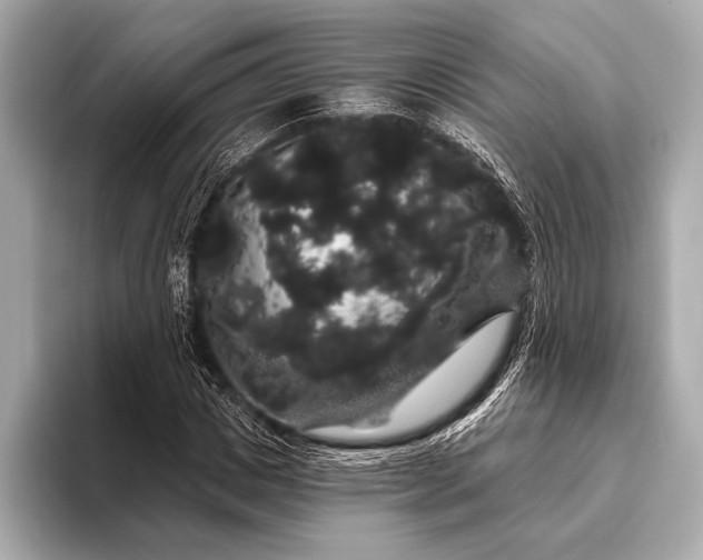 X0000093400825200710260915