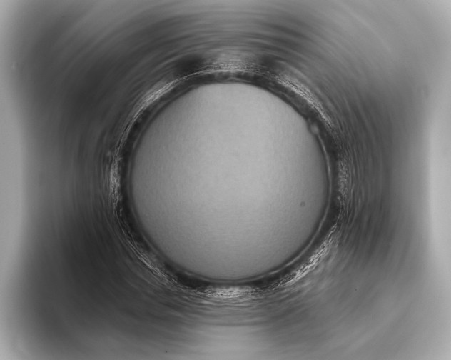 X0000093400826200710260915