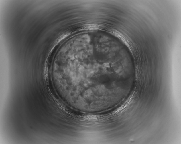 X0000093400827200710260915