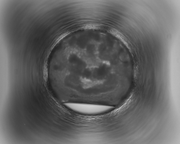 X0000093400829200710260915