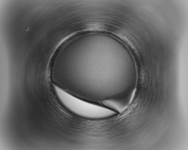 X0000093400830200710260915