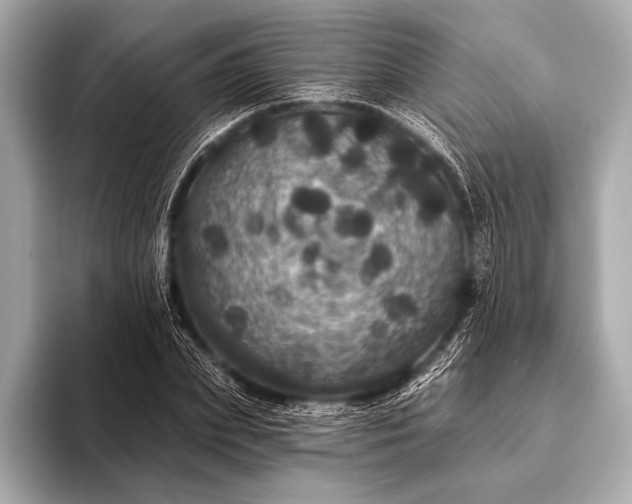 X0000093400831200710260915