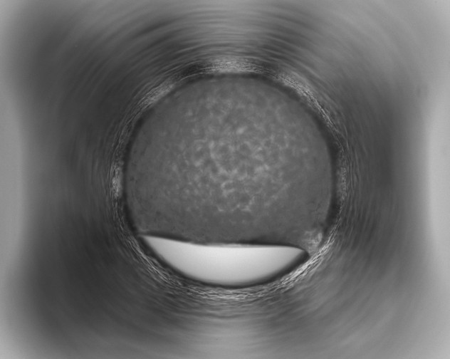 X0000093400833200710260915