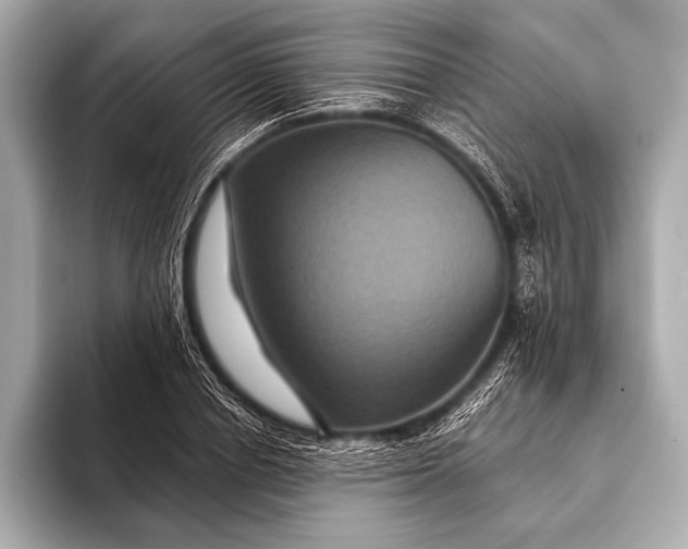 X0000093400834200710260915