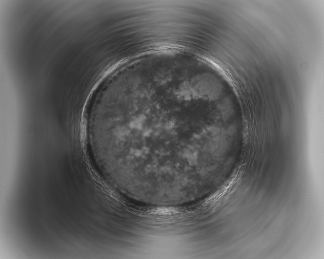 X0000093400835200710260915