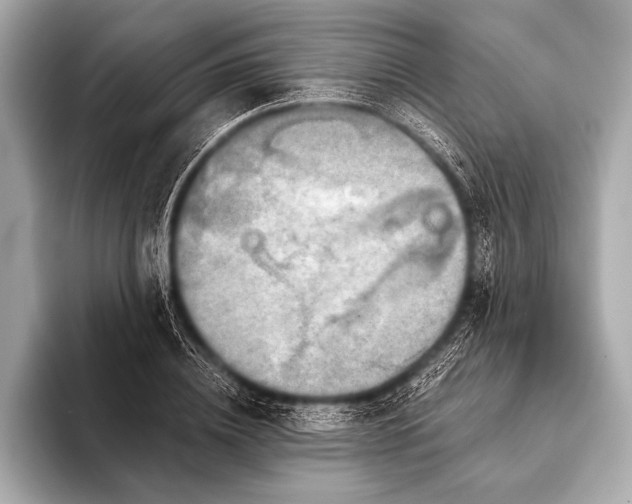 X0000093400836200710260915