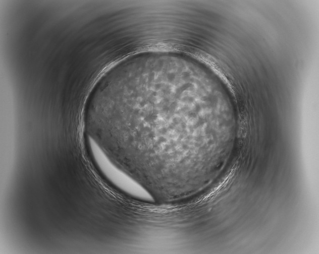 X0000093400837200710260915