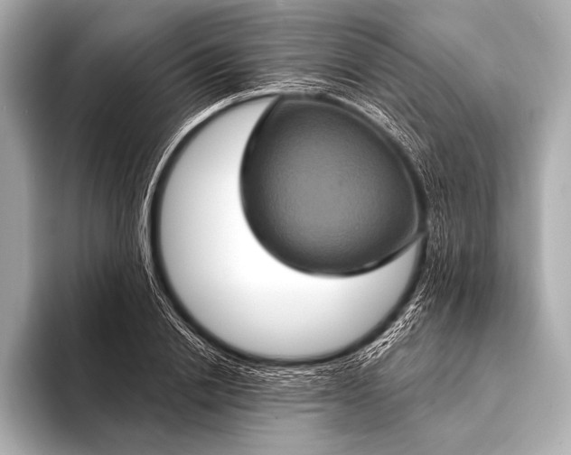 X0000093400838200710260915