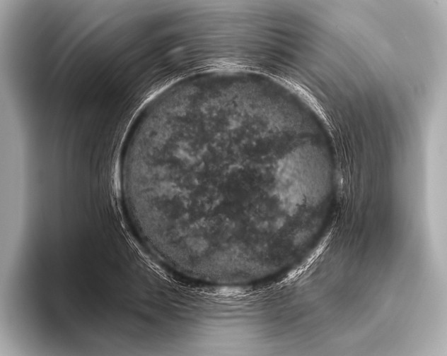 X0000093400839200710260915