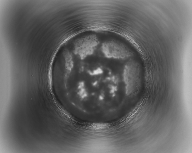 X0000093400840200710260915